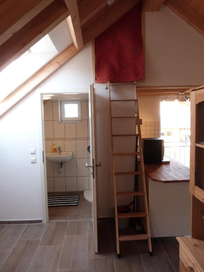 Apartment Atelier Im Stadtgarten Direkt In *